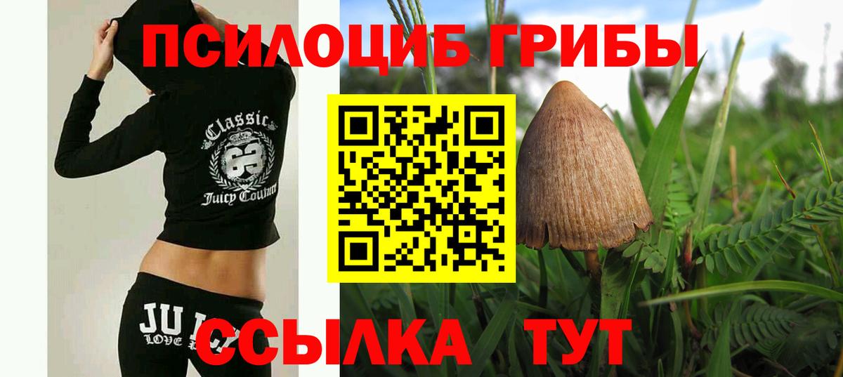 Галлюциногенные грибы MAGIC MUSHROOMS Черногорск